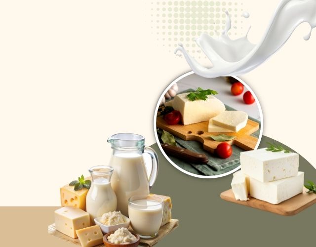 süt ürünleri